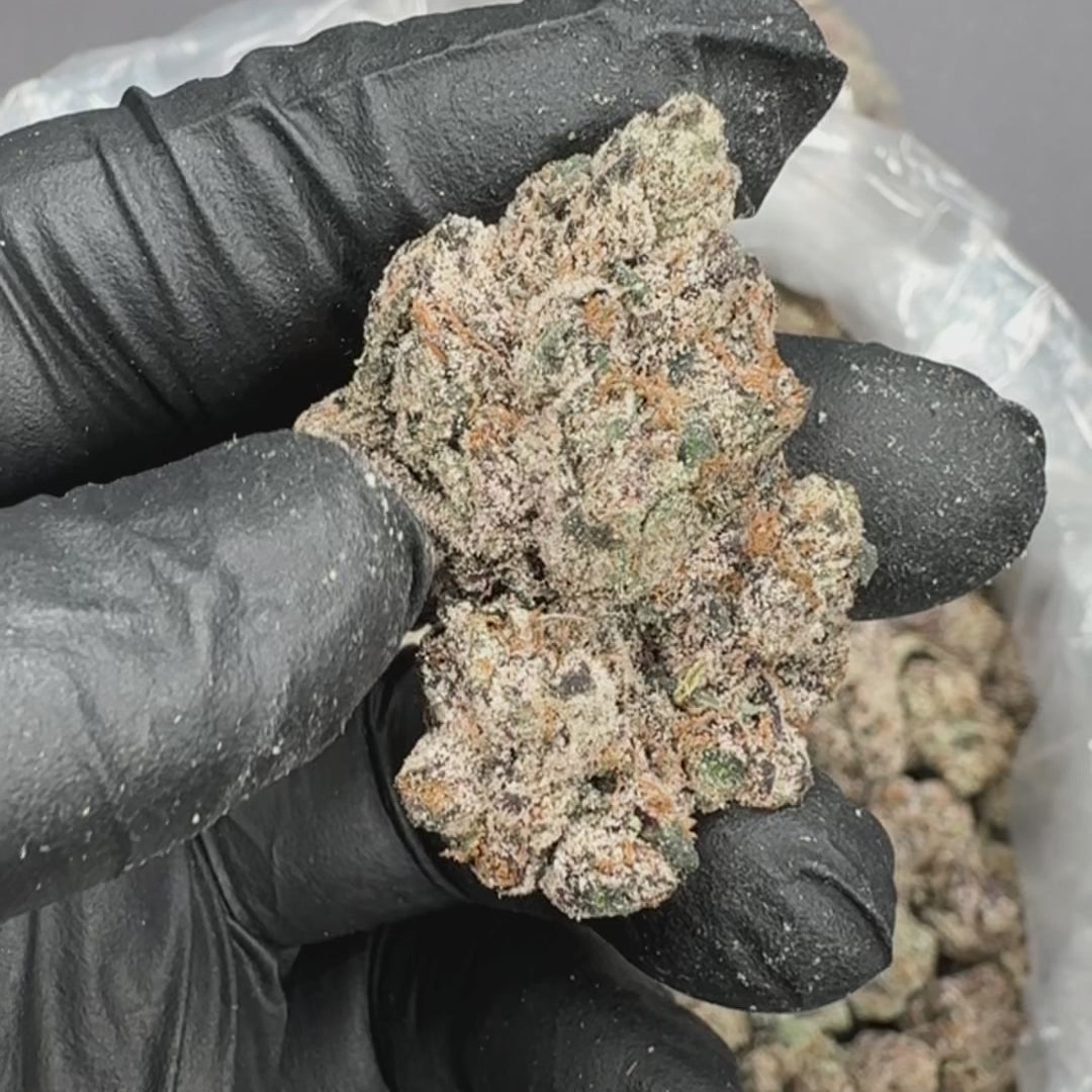 Frosted Runtz AAA THCA Flower (Indoor)