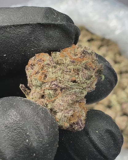 Blueberry Pancakes THCA Flower Small Buds (Indoor) media-2
