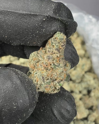 Citrus Smoothie THCA Flower Small Buds (Indoor) media-2