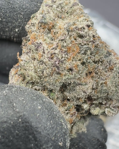 Twisted Mint THCA Flower (Indoor)