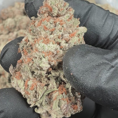 Revelry Reserve | Blueberry Pancakes Hybrid THCA Flower