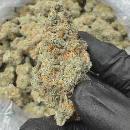 Blue Dream AAA Sativa THCA Flower (Indoor)