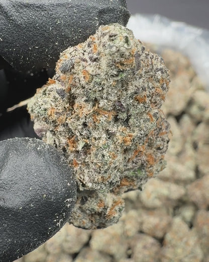 Glitterati THCA Flower (Indoor)
