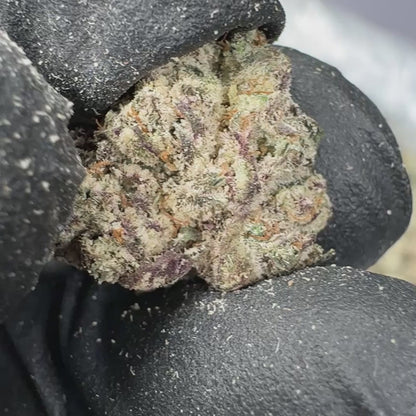 Frosted Runtz Bulk Indica THCA Flower Small Buds (Indoor)