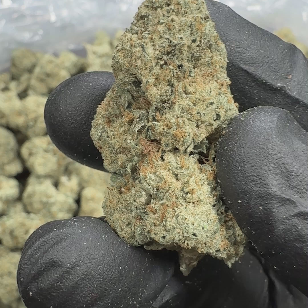 Revelry Reserve Bulk | Curelato Hybrid THCA Flower