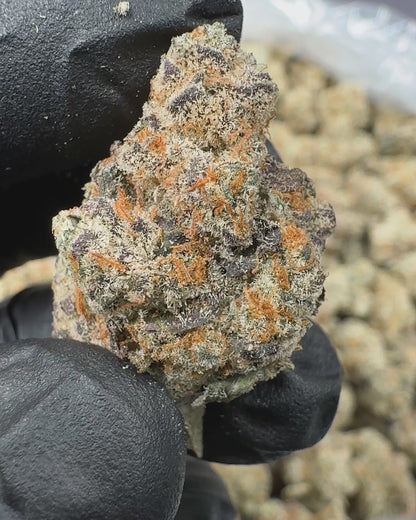 Bulk Wham Berries AAA THCA Flower (Indoor) media-2