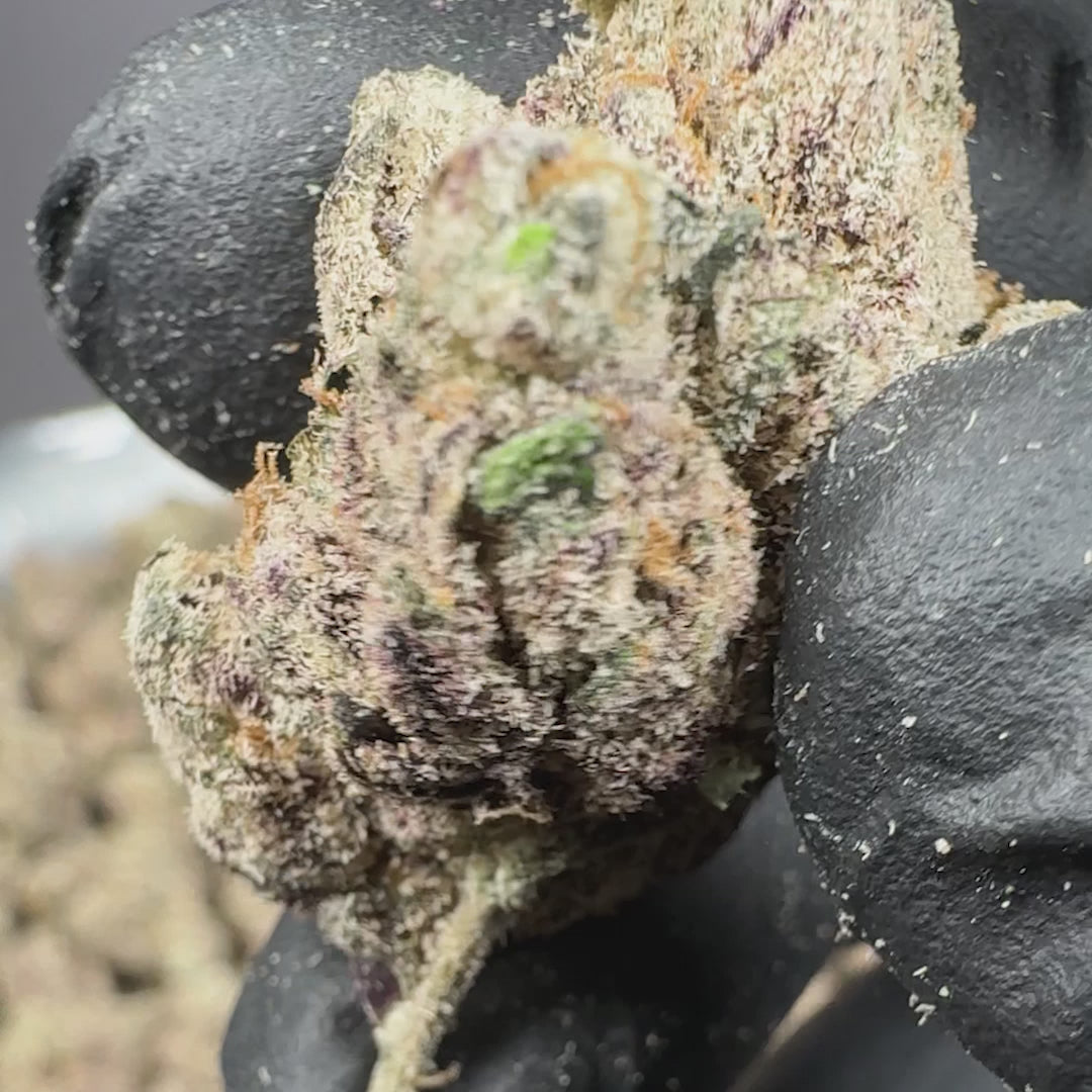 Baggio Gelato Exotic THCA Indica Flower (Indoor)