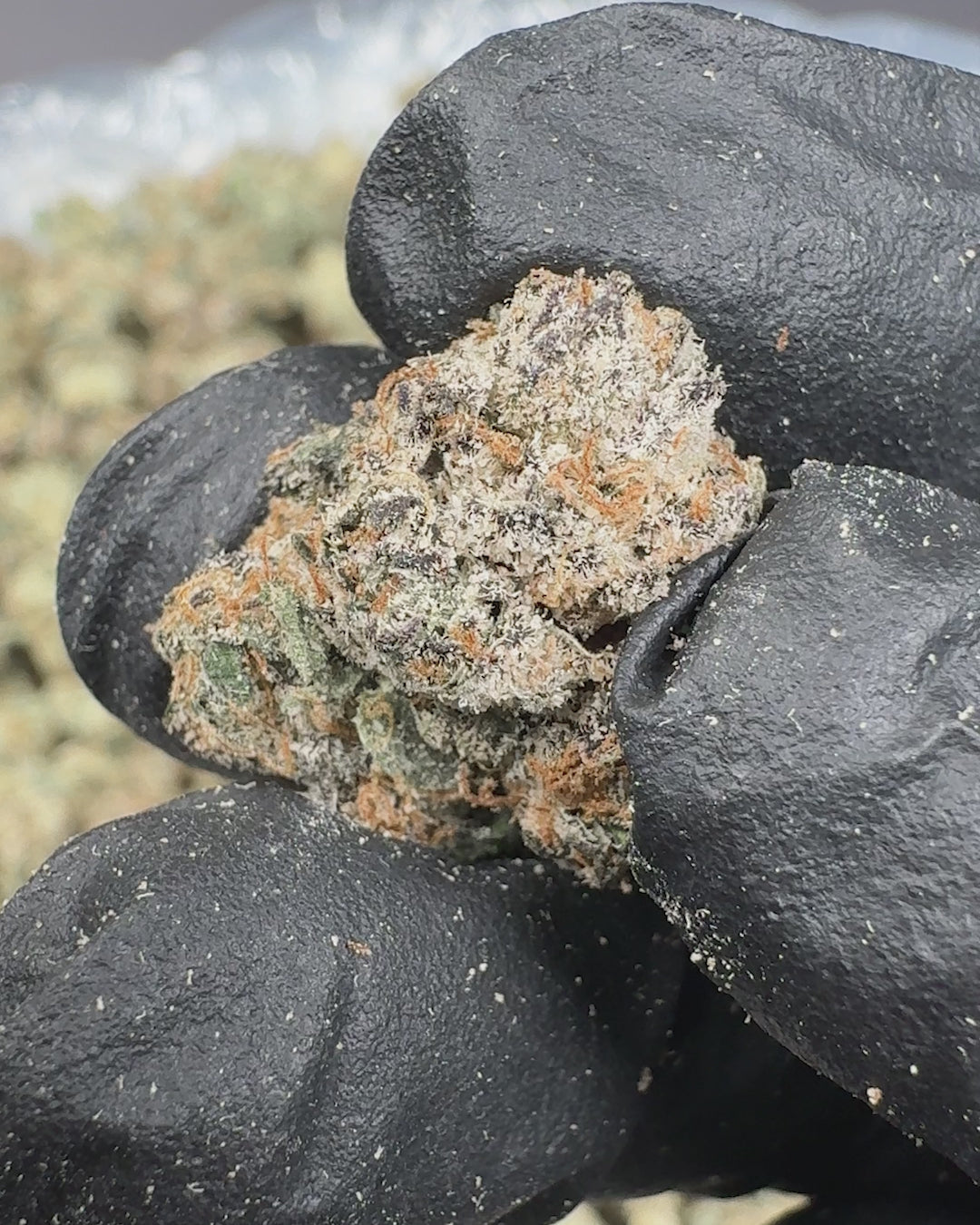 Runtz OG THCA Flower Small Buds (Indoor) 2