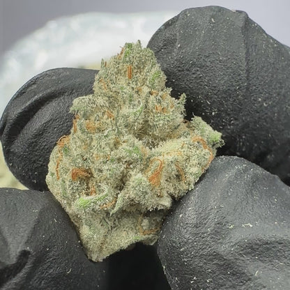 Citrus Smoothie Bulk Sativa THCA Flower Small Buds (Indoor)