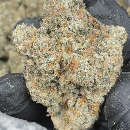 Peach Rings THCA Flower – Exotic Indoor Hybrid Strain