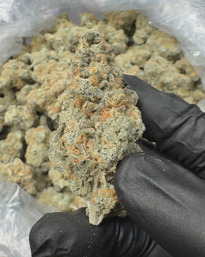 Blue Dream AAA THCA Flower (Indoor) media-2