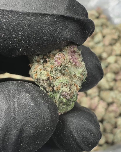 Cherry Sunrise THCA Flower Small Buds (Indoor) media-2