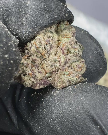 Frosted Runtz THCA Flower Small Buds (Indoor) media-2