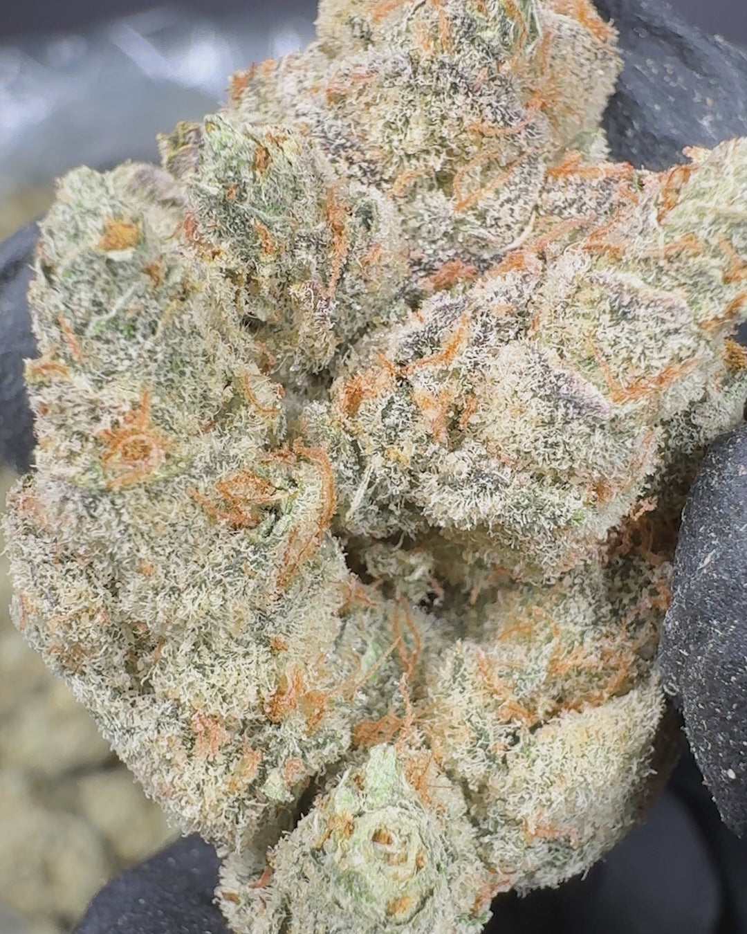 White Gummies AAA THCA Flower (Indoor) 2