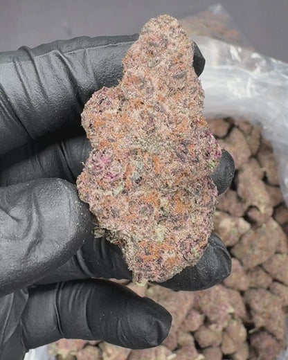 Cherry Sunrise THCA Flower (Indoor)