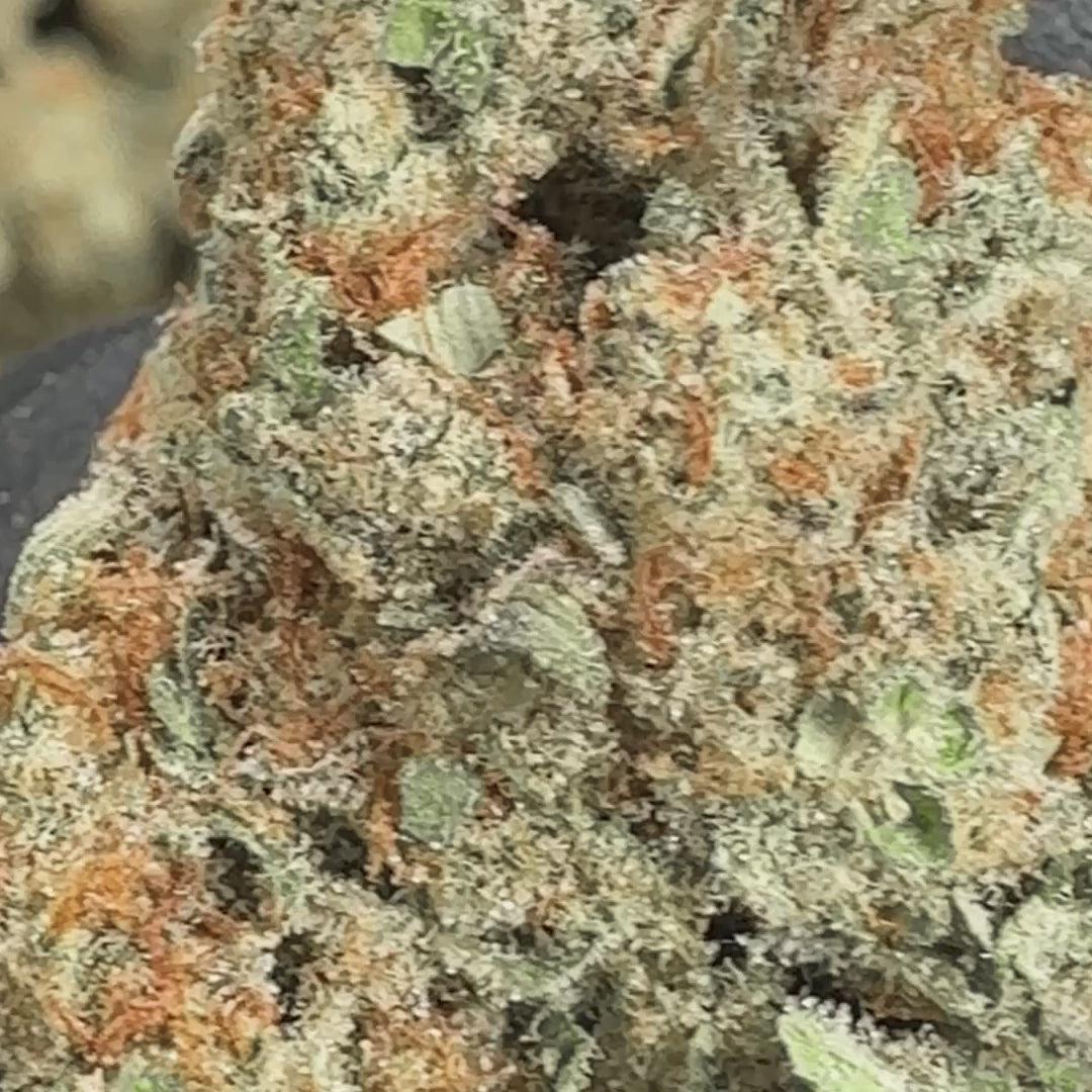 Revelry Reserve Bulk | Dosi Do Indica THCA Flower