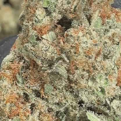 Revelry Reserve Bulk | Dosi Do Indica THCA Flower