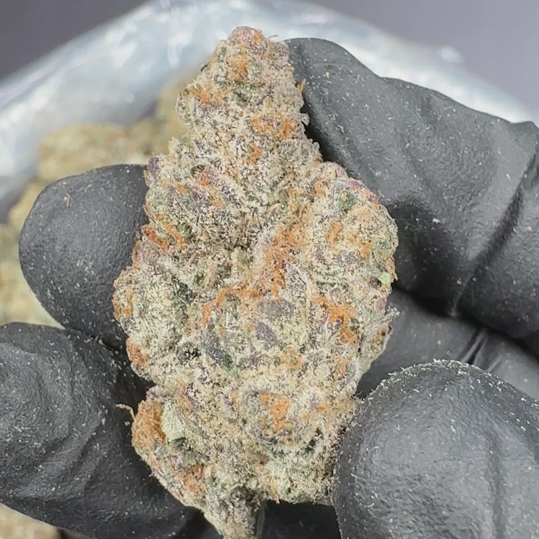 Apple Sherbet Bulk Exotic Sativa THCA Flower (Indoor)