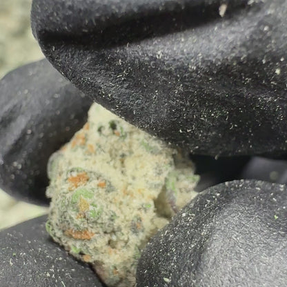 La Bomba Bulk Indica THCA Flower Small Buds (Indoor)