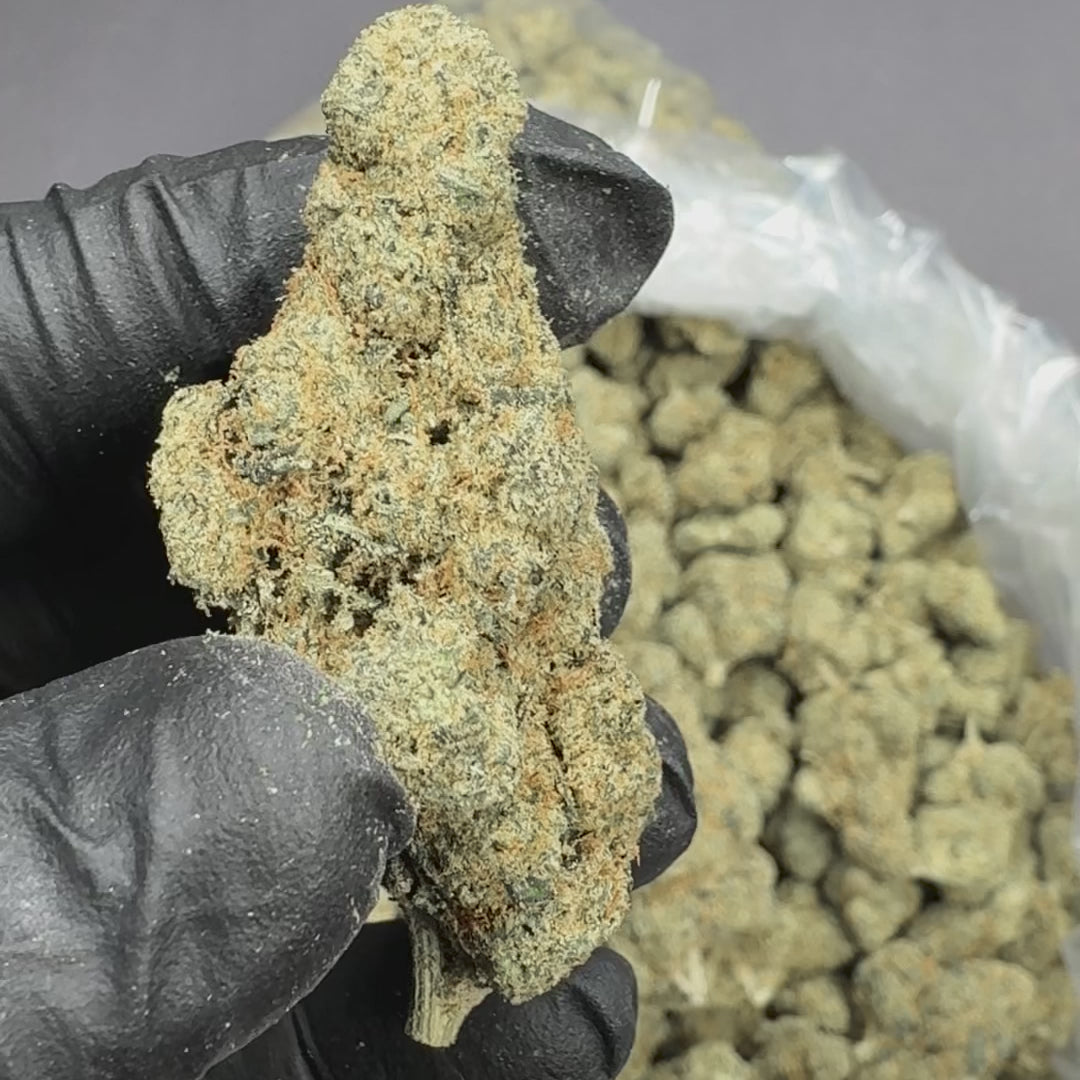 Citrus Smoothie THCA Flower – Premium Indoor Strain