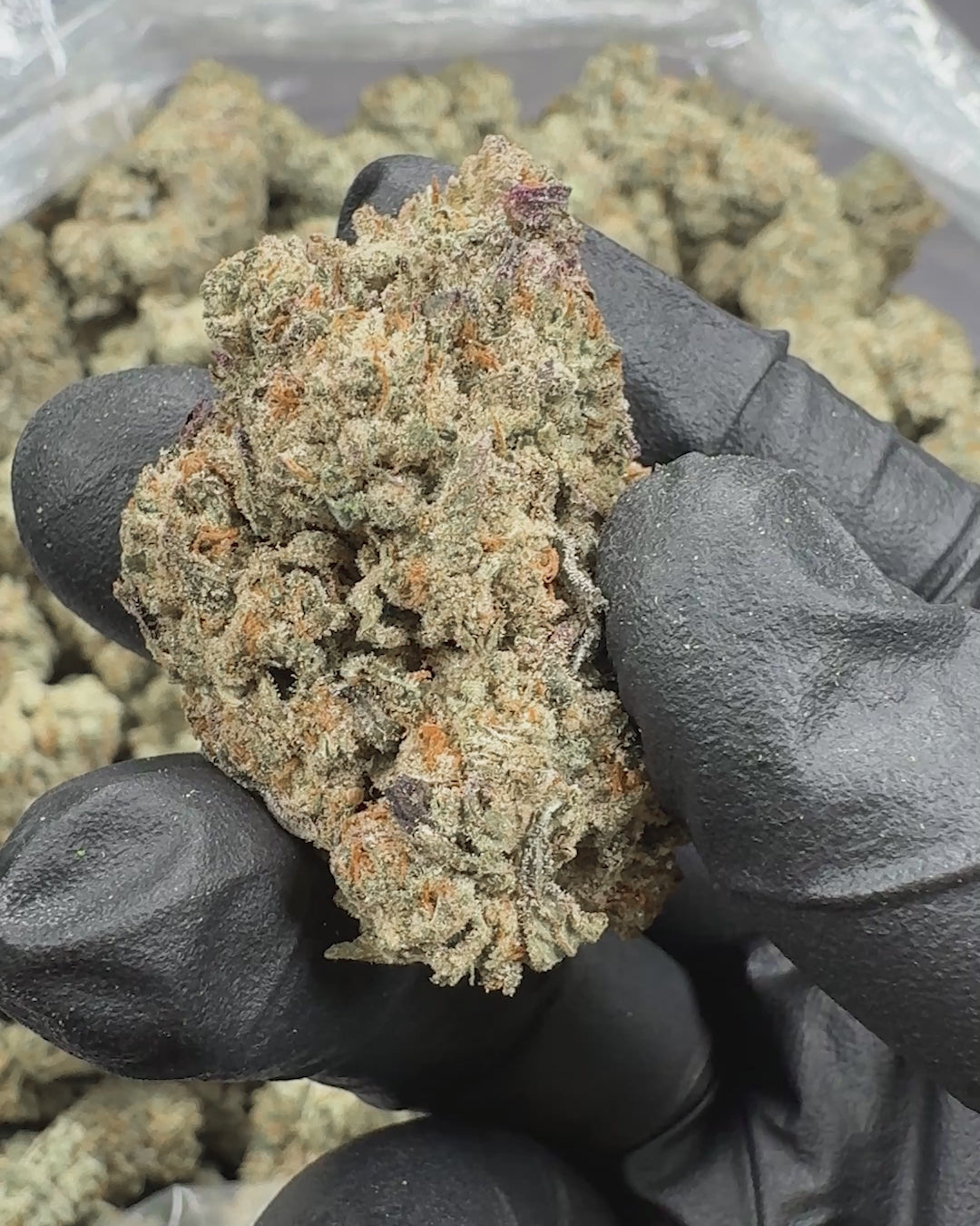 Revelry Reserve Bulk | Jungle Juice THCA Flower