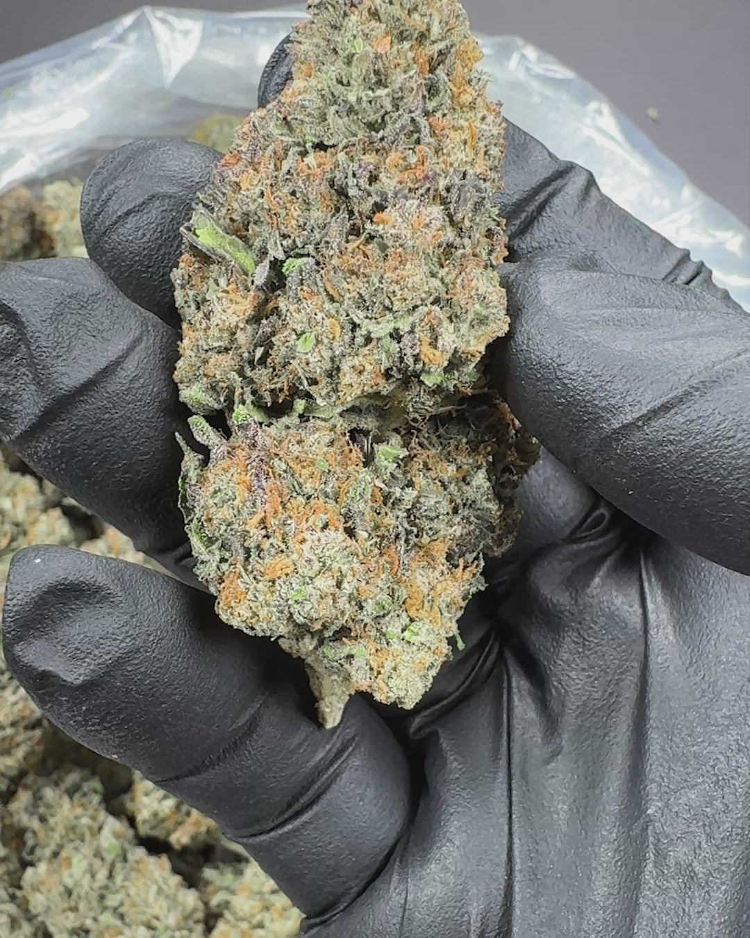 Revelry Reserve | Candy THCA Flower